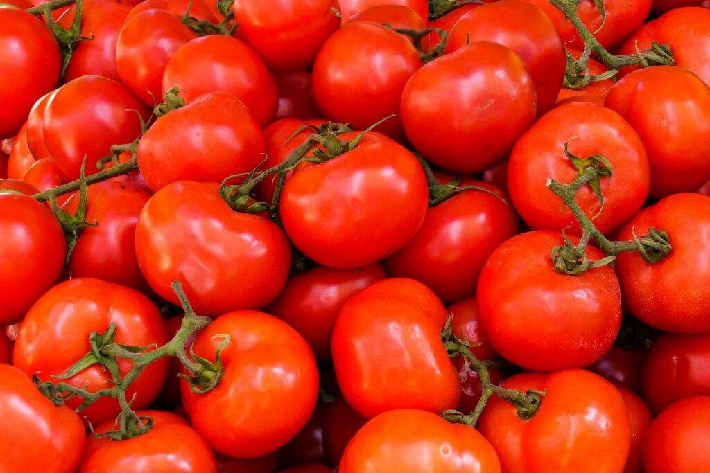 Health Benefits of Tomatoes for Dogs