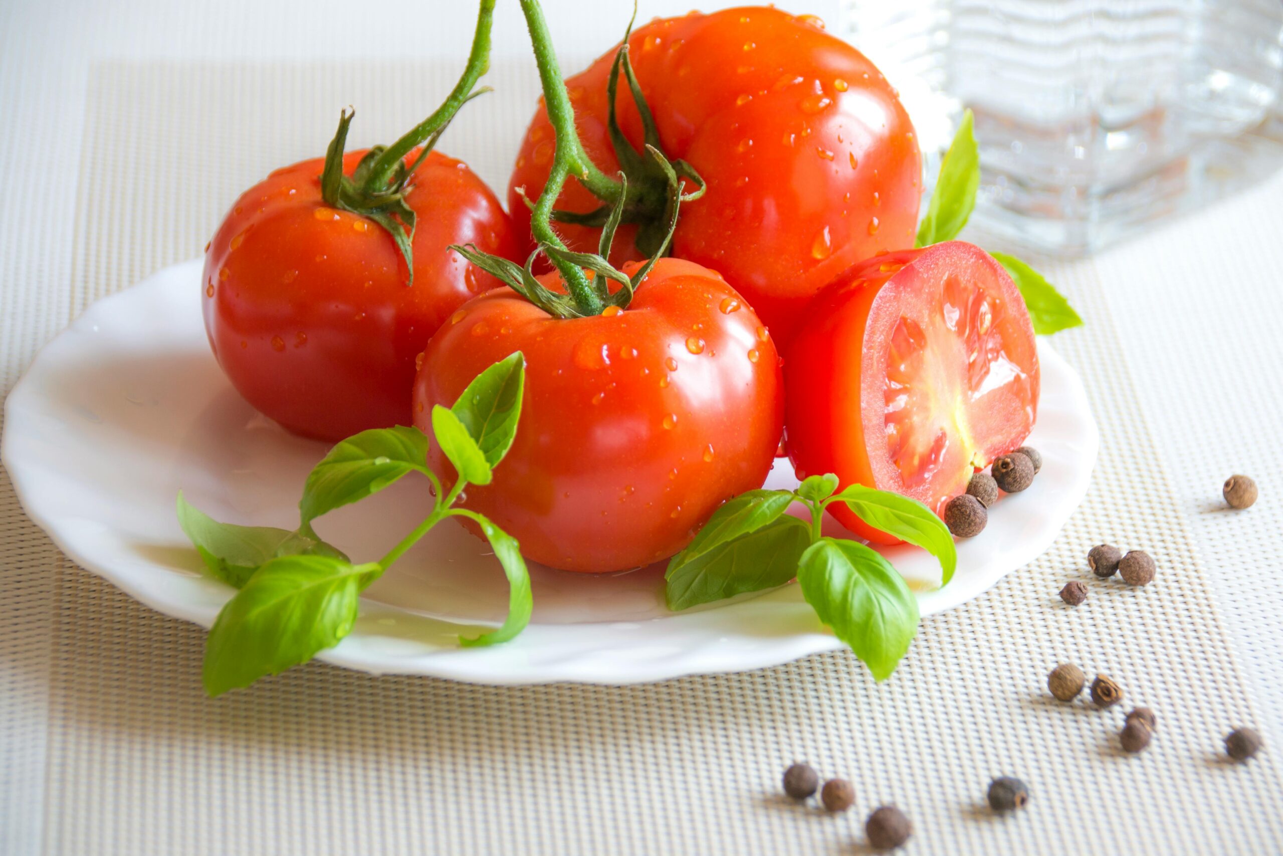 Can Dogs Eat Tomatoes Safely?