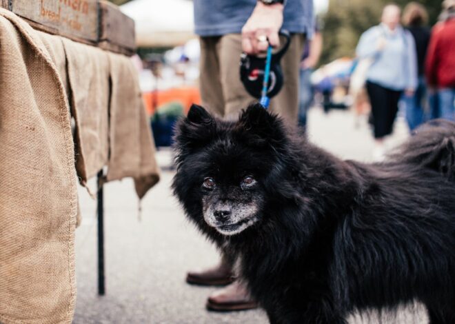 Signs of Fleas on Dogs: Know the Telltale Symptoms