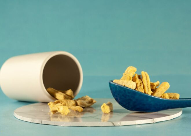 Are Cheerios Safe for Dogs? What Pet Parents Need to Know