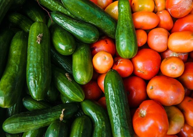 Can Cats Eat Cucumbers? What You Need to Know