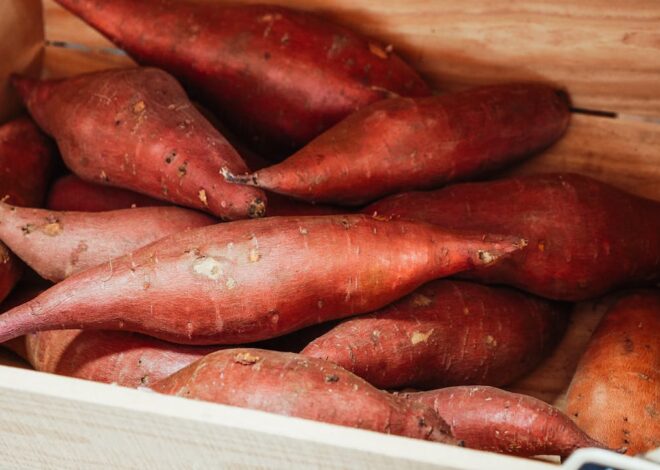 Can Cats Eat Sweet Potatoes Safely?