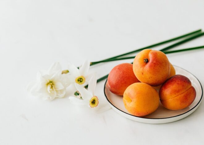 Can Dogs Eat Apricots? Understanding the Safety and Risks