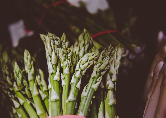 Can Dogs Eat Asparagus? Exploring Its Safety & Perks