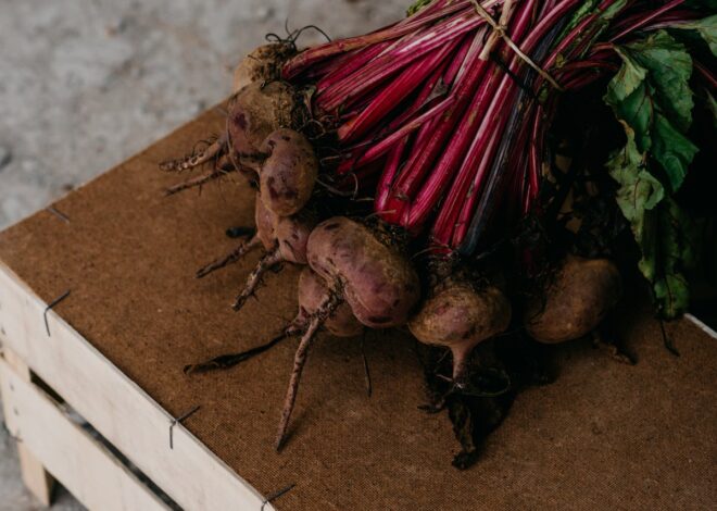 Can My Dog Eat Beets? Exploring the Health Perks Safely