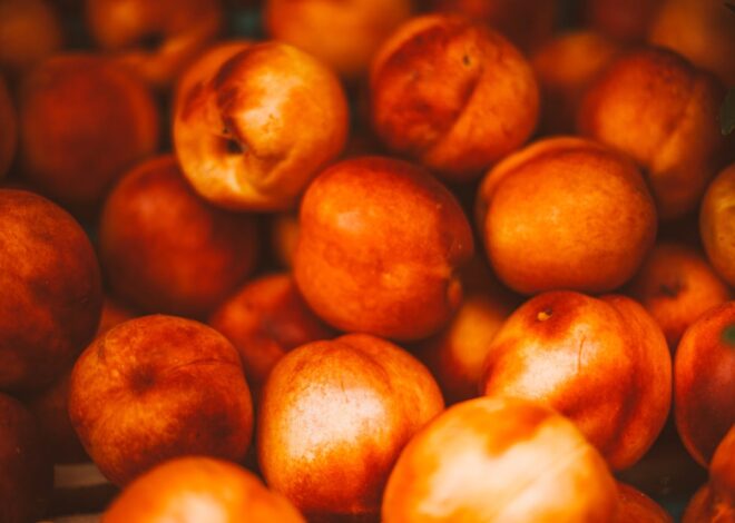 Can My Dog Eat Nectarines? Exploring This Sweet Treat