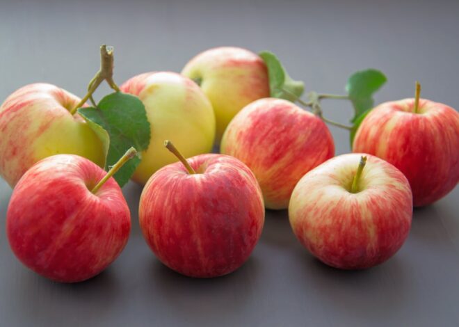 Can Cats Eat Apples? What Pet Parents Know