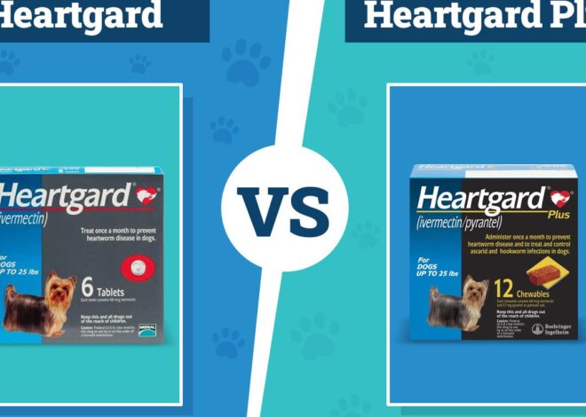 Heartgard vs Heartgard Plus For Dogs