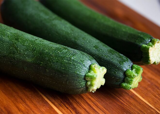 Is Zucchini Good for Dogs? Exploring the Health Benefits