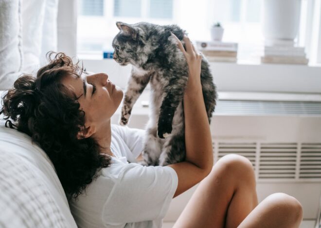 The Ultimate Guide to Cat Cuddles: Bonding with Your Feline