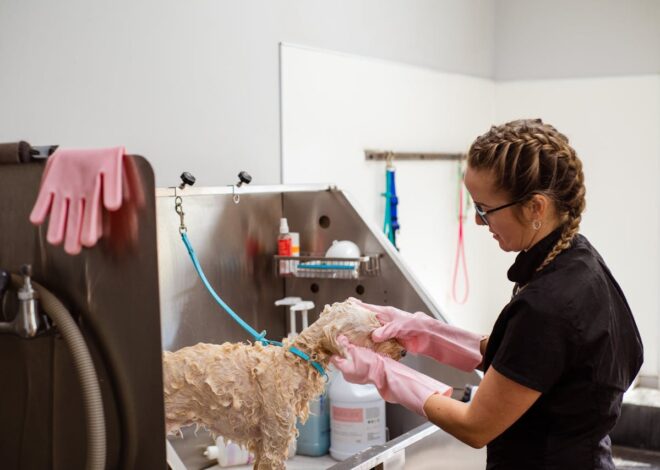 What is Flea Dirt? Identifying This Sign of Fleas on Pets