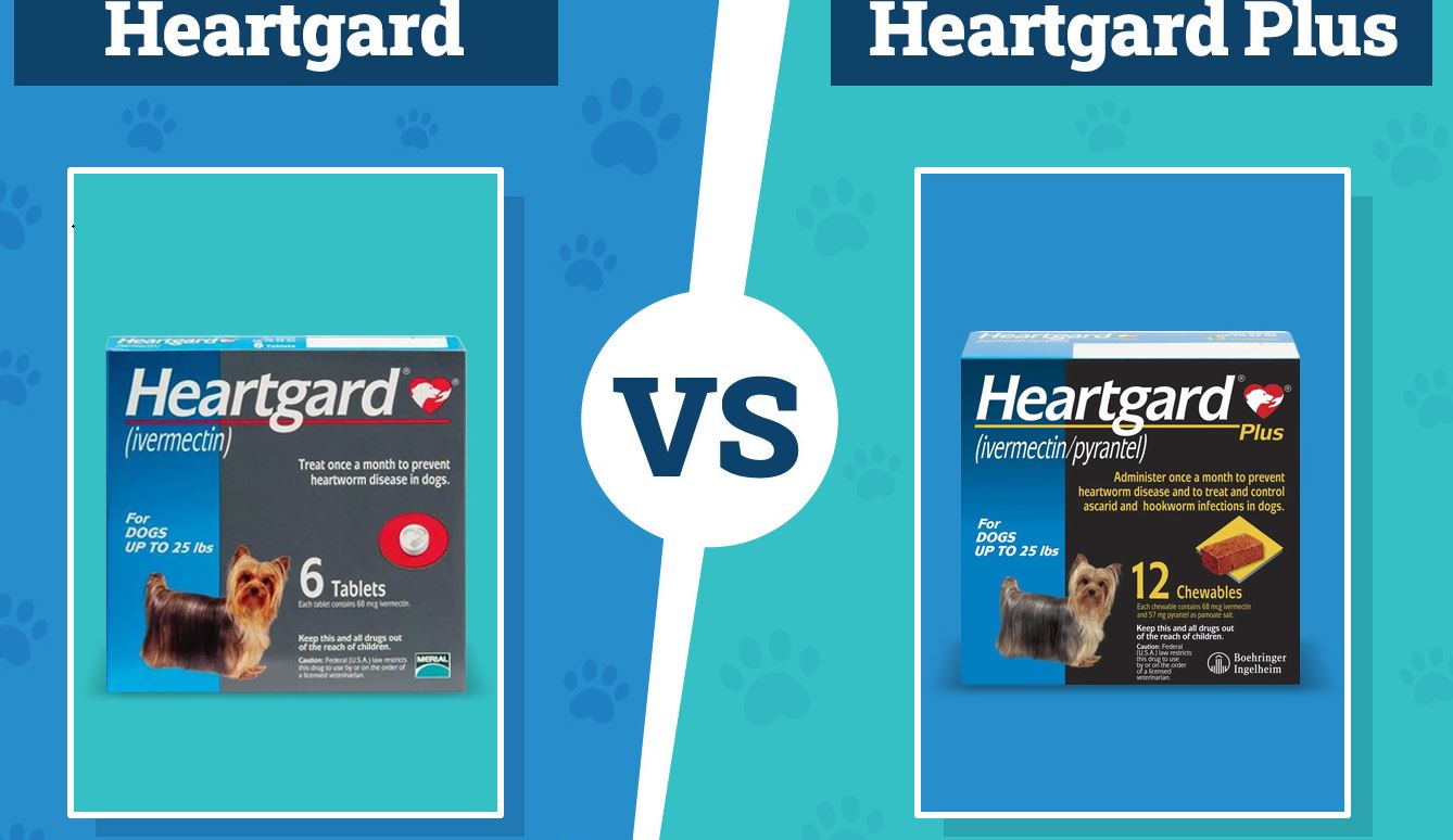 Heartgard vs Heartgard Plus For Dogs