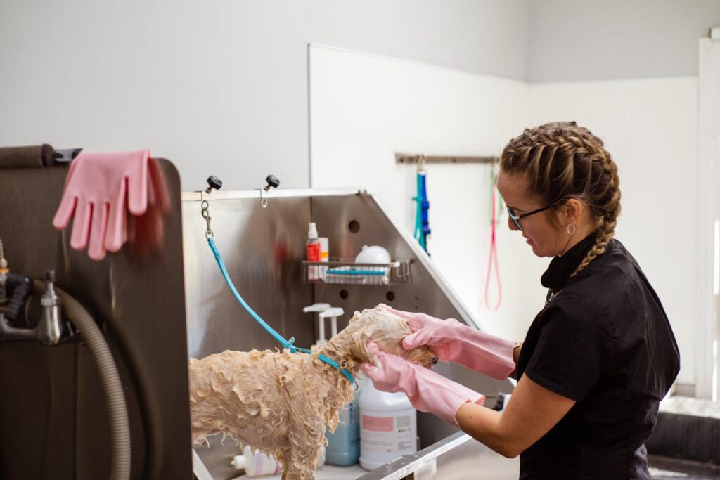 Dog Grooming Career