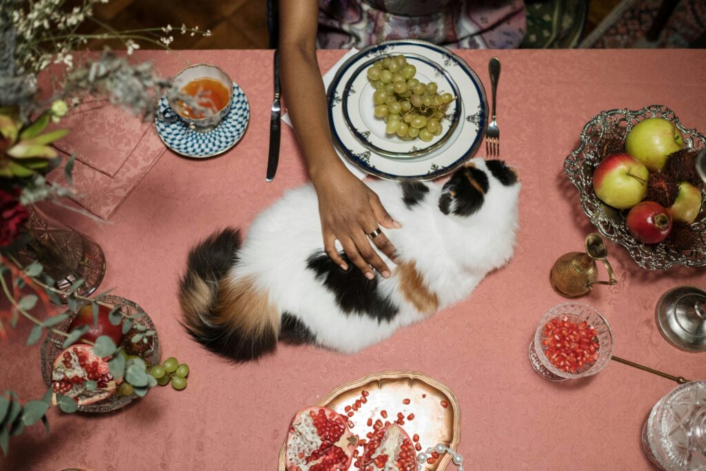 Fruit Benefits for Cats
