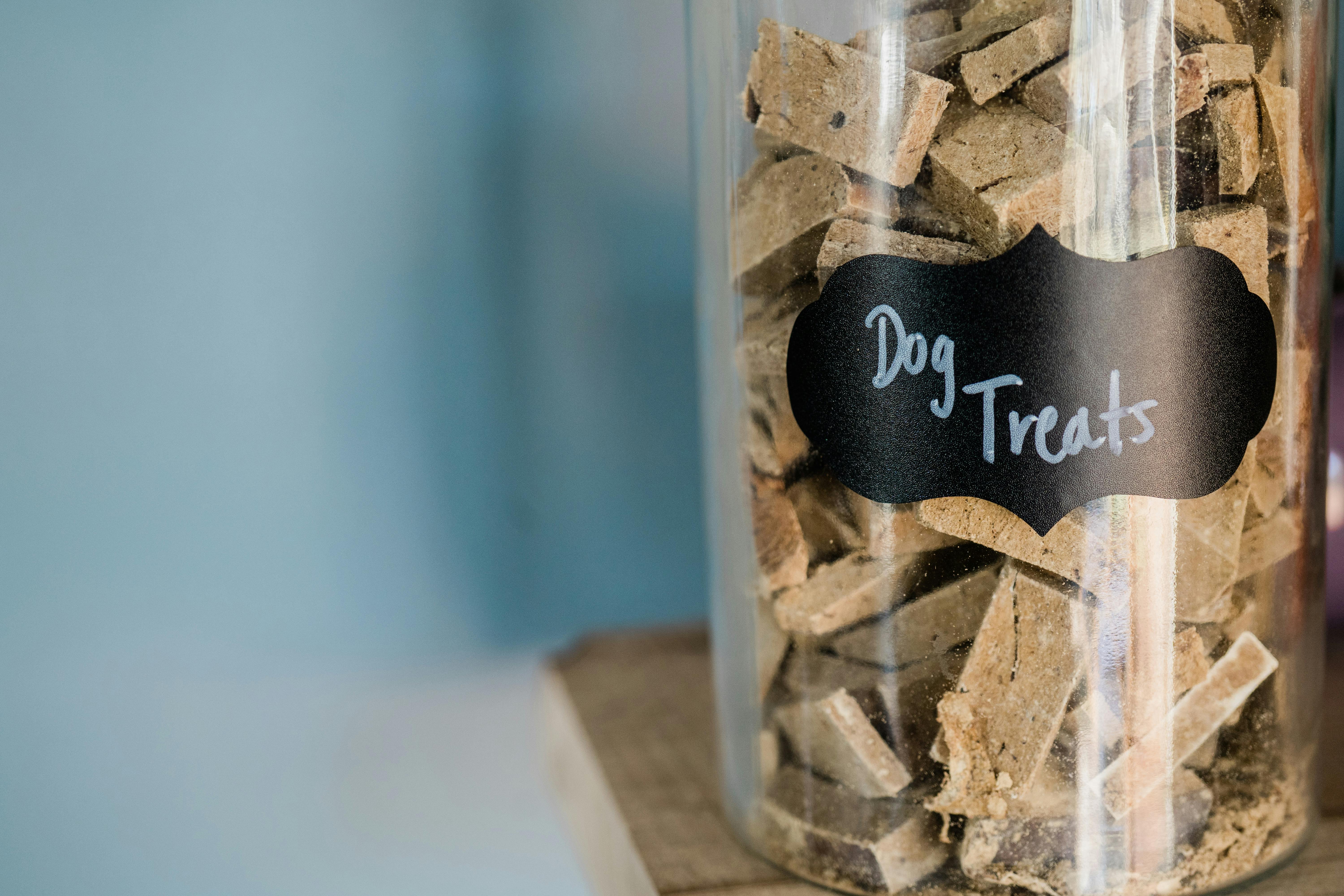 Calming Treats for Dogs: Safe Relief for Anxious Dogs
